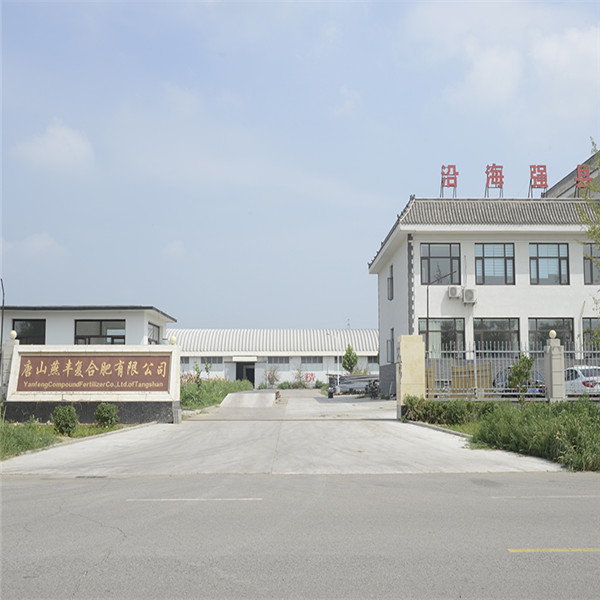 yy易游体育复合肥厂区门口